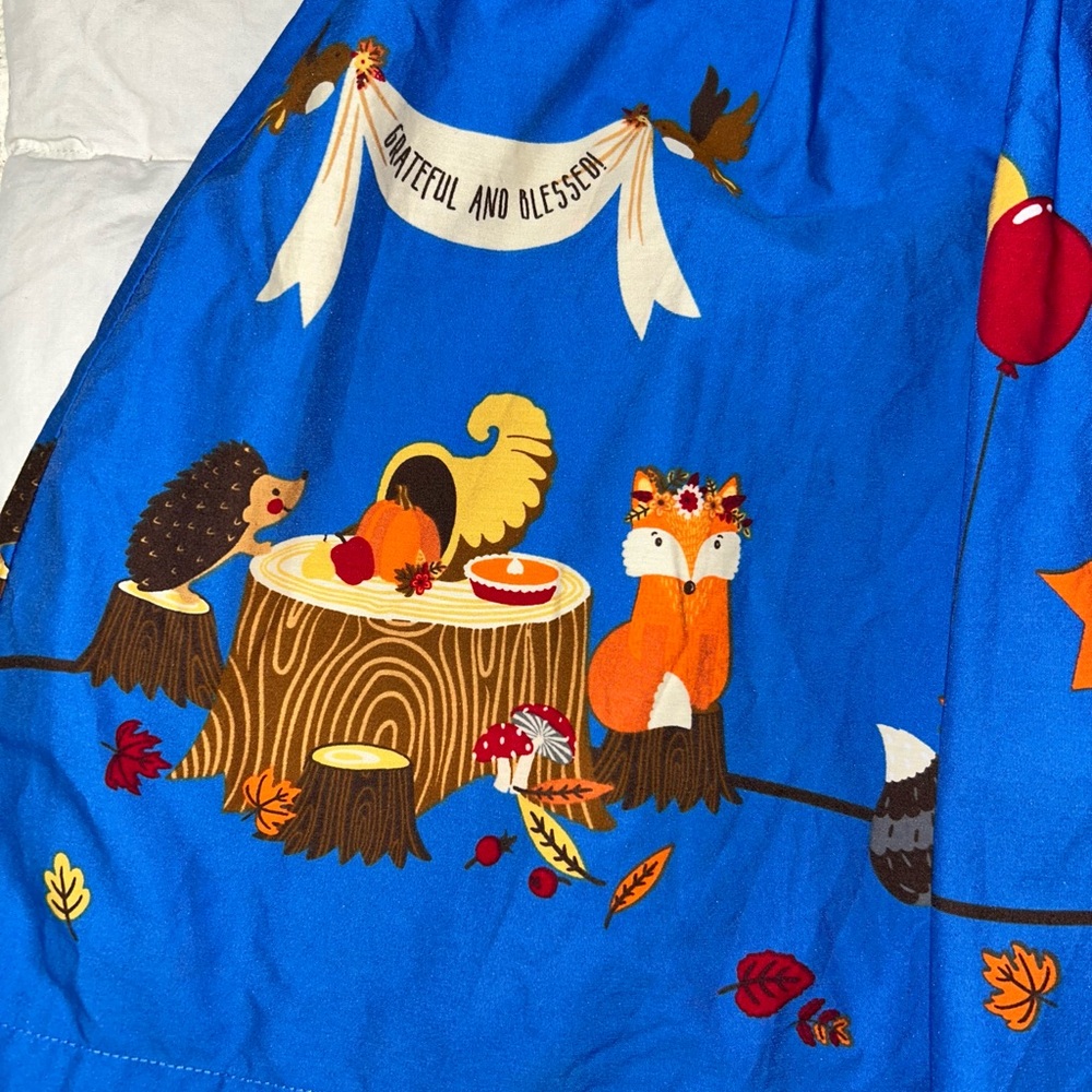 Eleanor Rose boutique Thanksgiving themed dress sz 6 EUC Smoke Free home - Picture 3 of 6